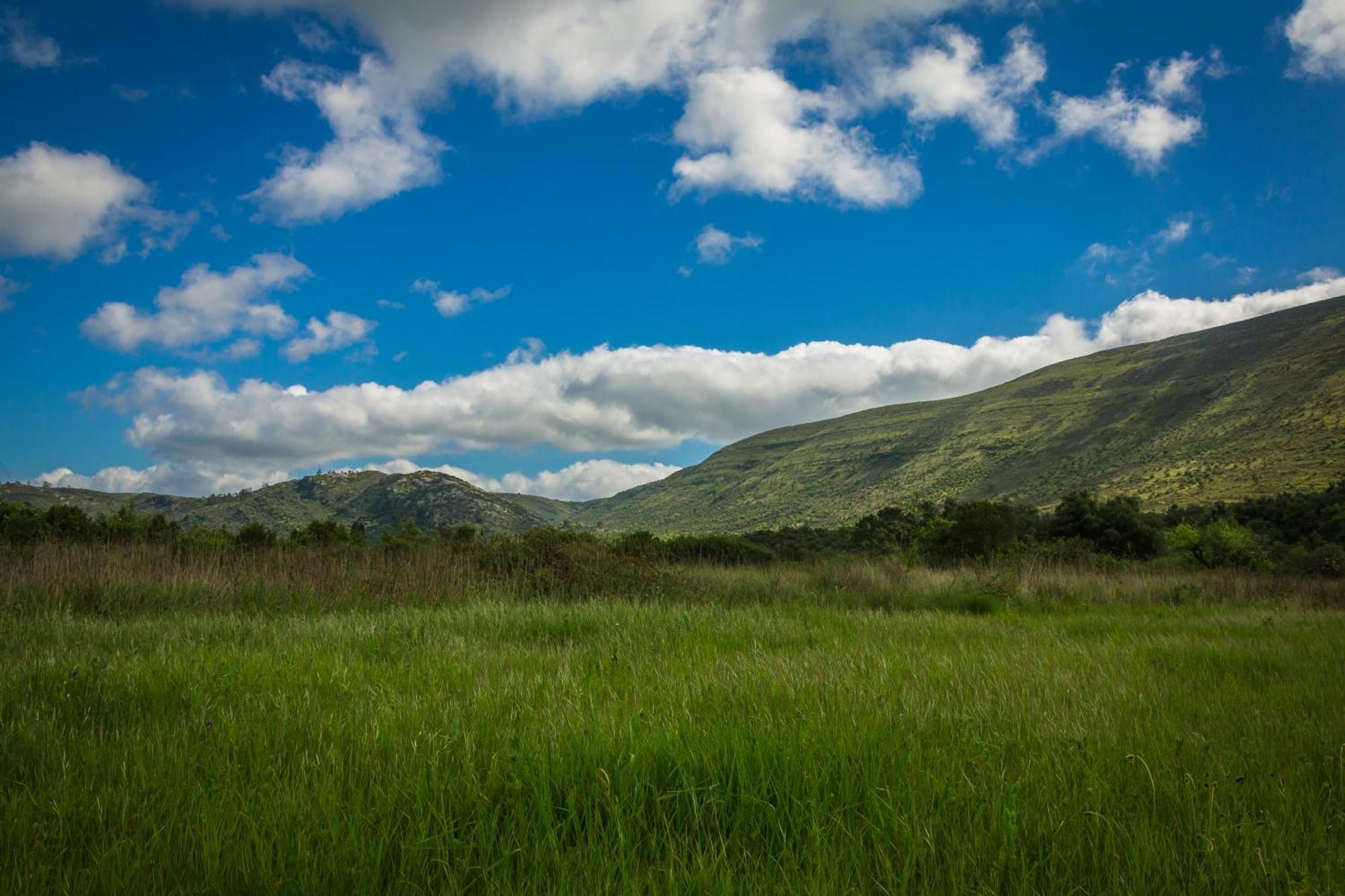 Vila Casa Alba - Alvados Exteriér fotografie